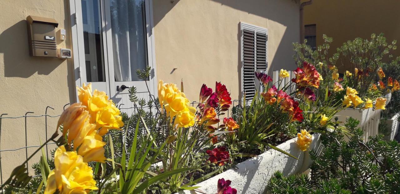 Sa Domu Antiga Villa Solarussa Екстериор снимка